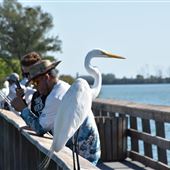 Gasparilla Sound