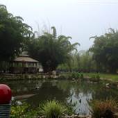 Pottery Express & Bamboo Farm