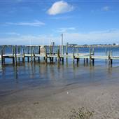 Cole's Clam Nursery