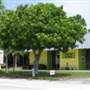 Lemon Bay Playhouse