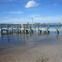 Cole's Clam Nursery