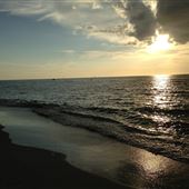 Palm Island Beach