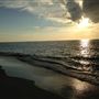Palm Island Beach