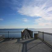 Bayshore Live Oak Park