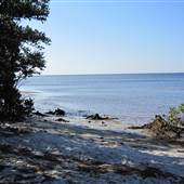Ponce de Leon Park