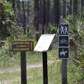 Myakka State Forest