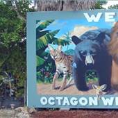 Octagon Wildlife Sanctuary