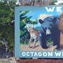 Octagon Wildlife Sanctuary