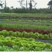 Worden Farm