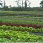 Worden Farm