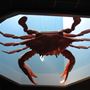Laishley Crab House
