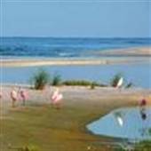 Cayo Costa State Park