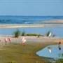 Cayo Costa State Park